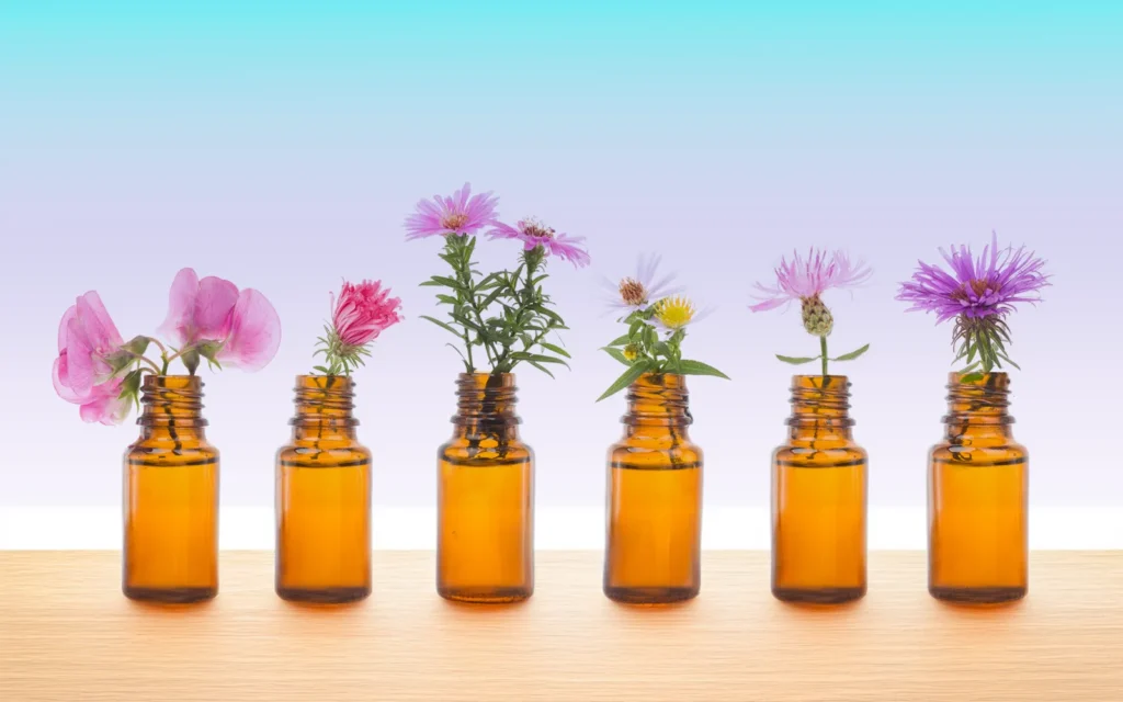 terapia_floral_andrea_saavedra